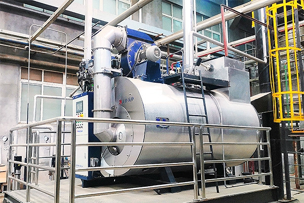 Condensing Steam Boiler - Euromonitor 6