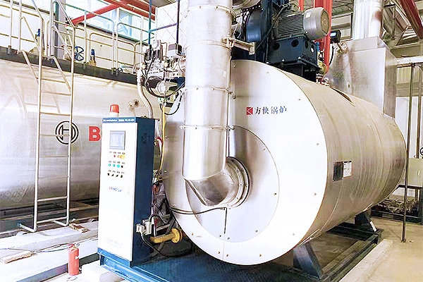 Condensing Steam Boiler - Euromonitor 6